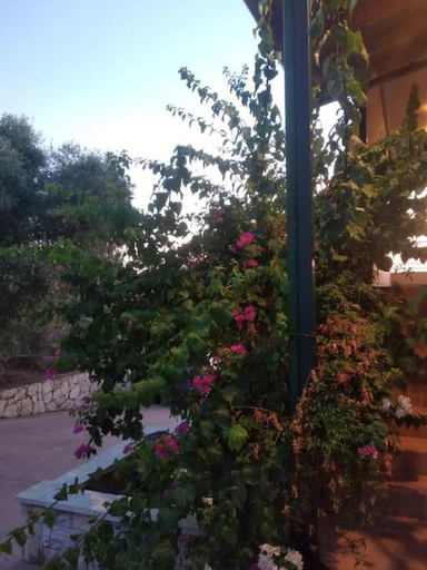 Others 4, Μεζονετα 5 υπνοδωματια, πληρως εξοπλισμενη και με φορτιστη ηλεκτρικου αυτοκινητου, Peloponnese