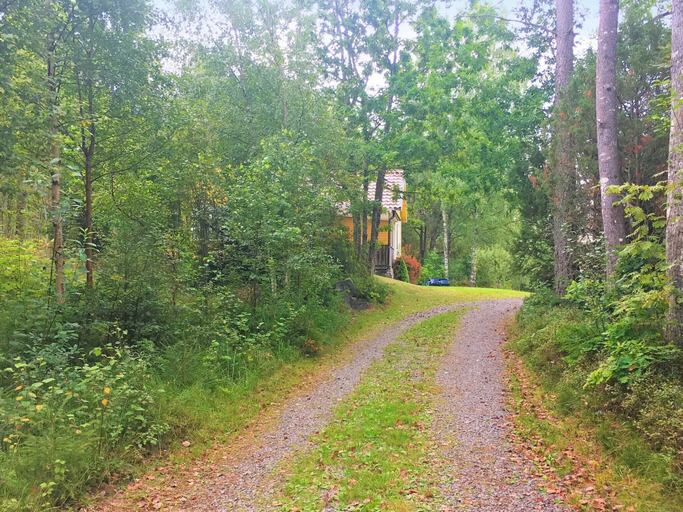 Exterior 4, 4 Person Holiday Home in Rorvik, Sävsjö