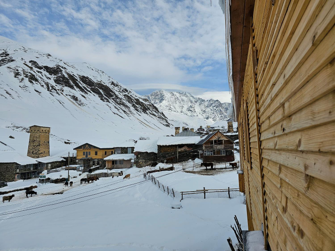 Others 4, Guesthouse Ushguli Maspindzeli, Mestia