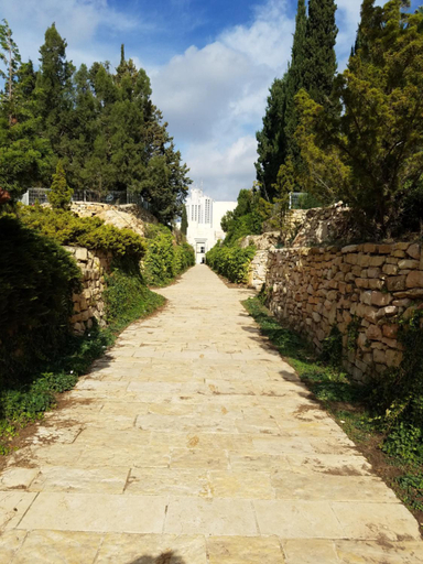 Others 5, Spring apartment Bahar nissim Jerusalem