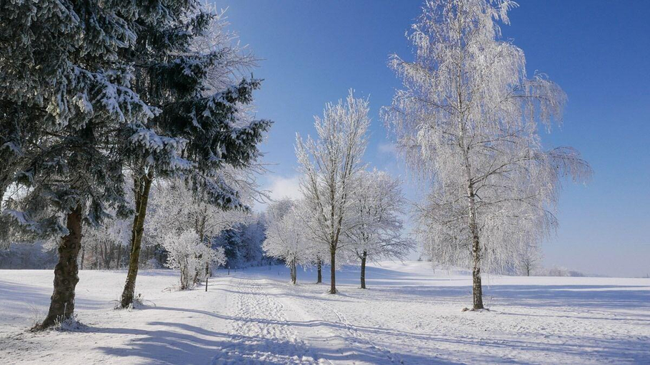 Exterior & Views 4, Golf & Vitalpark Bad Waldsee, Ravensburg