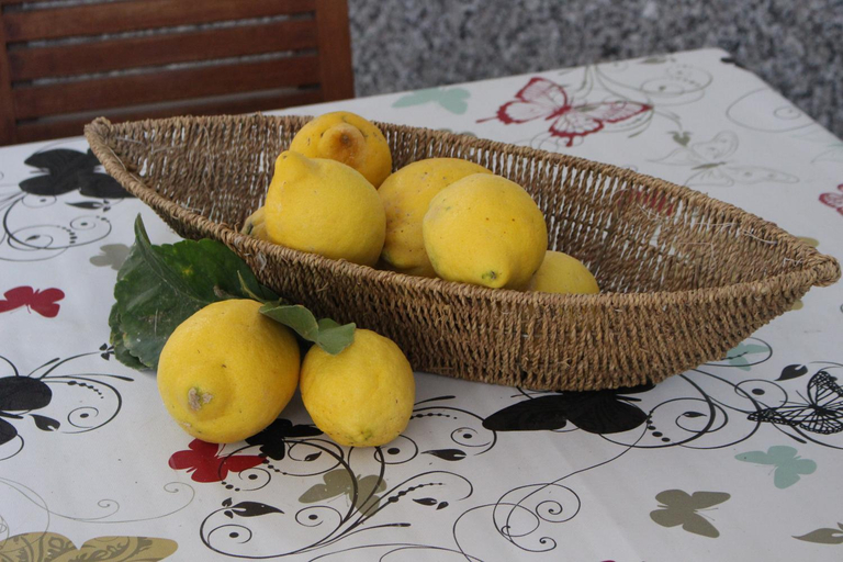 Food & Drinks, Casa A&M 2, Nuoro