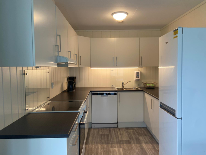 Others 4, Winjum Apartments Aurland Stegastein, Aurland