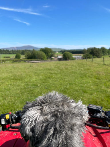 Others 4, Corehouse Farm Cottages - Dairy, Granary & Sawmill, South Lanarkshire