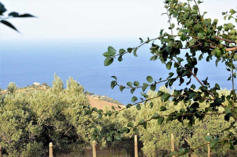Others 2, Residence Cassiodoro, Catanzaro