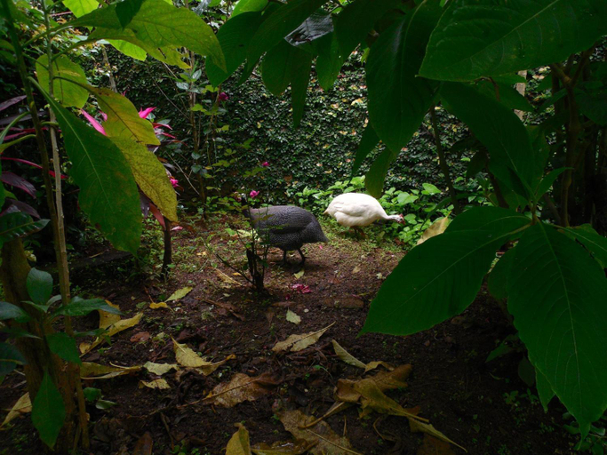 Others 2, Pousada Recanto Verde, São Benedito do Sul