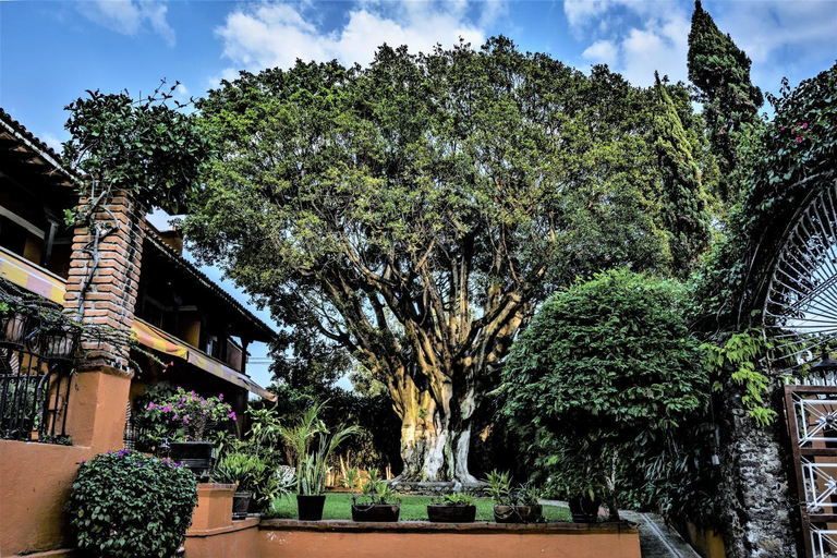 Others 5, Hotel San Angelo, Cuernavaca
