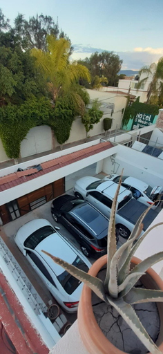 Sport & Beauty, Apartments in Casa Iris Downtown, Luxury and Modern Coliving space, Querétaro