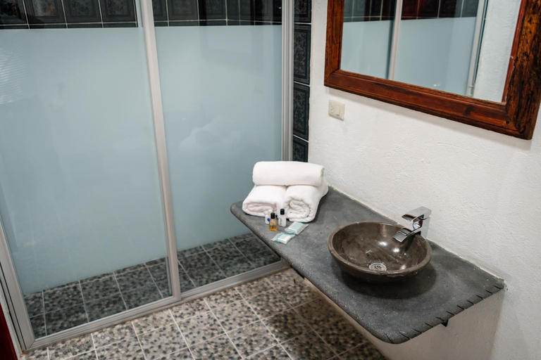 Bathroom 3, Hotel Vitorina Cholula, San Jerónimo Tecuanipan