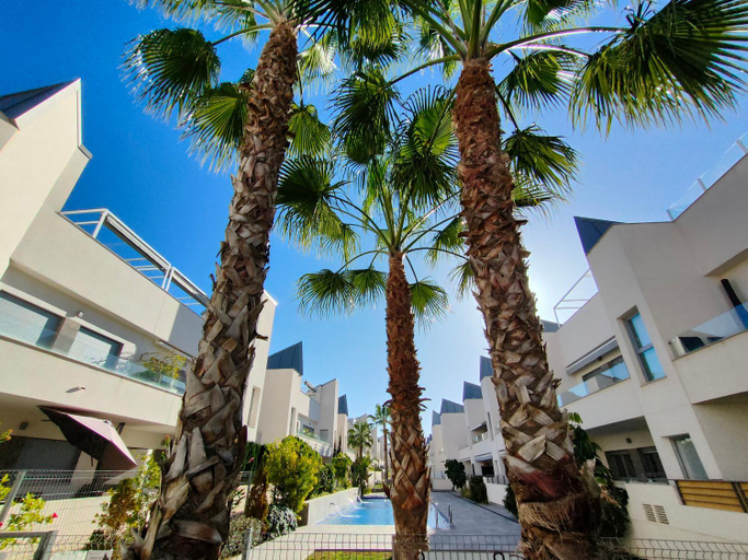 Others 4, Villa Amalia Eco, Alicante