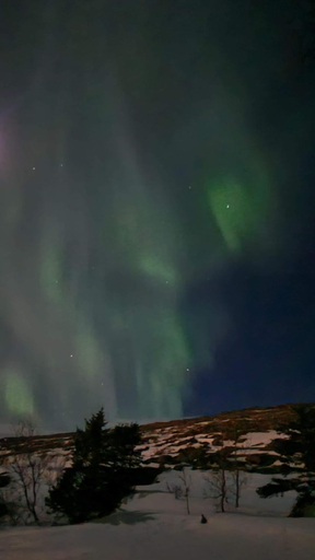 Others 5, Steinhusið, Hólmavíkurhreppur