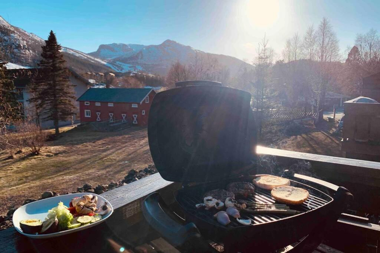 Food & Drinks, Super sentral, flott og solrik leilighet i sentrum, Hemsedal