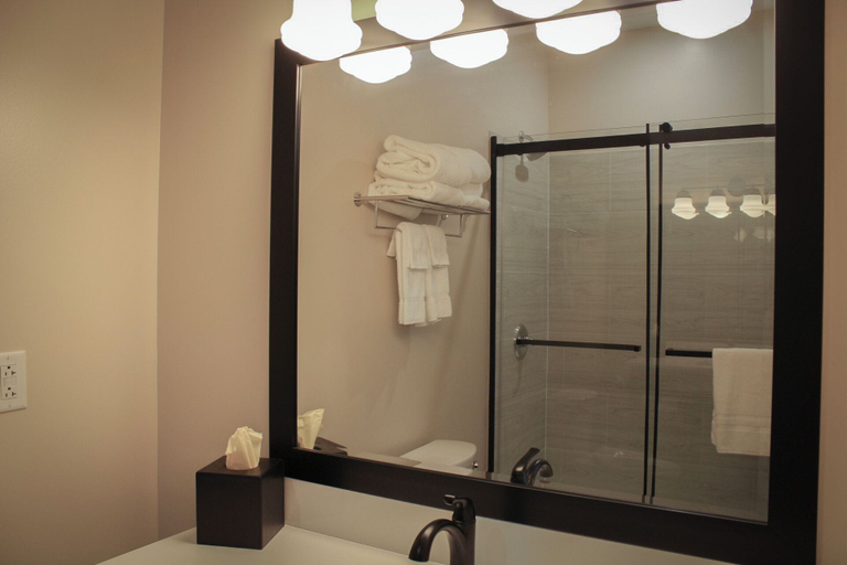 Bathroom 4, The Principal Hotel, Monroe