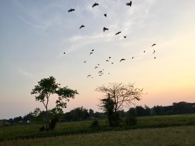 Others 4, Six Nature Resort, Muang Chiang Rai