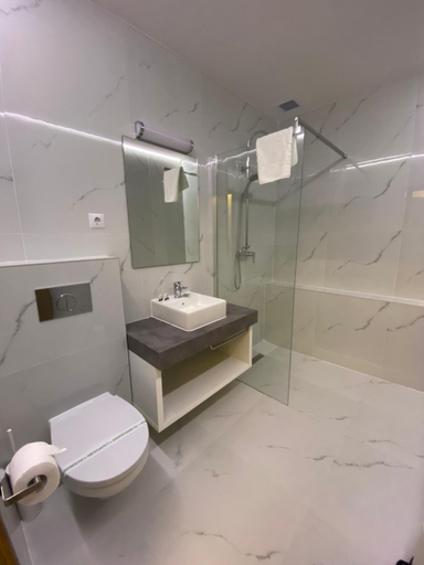 Bathroom 4, Vila Ursul Negru, Sovata