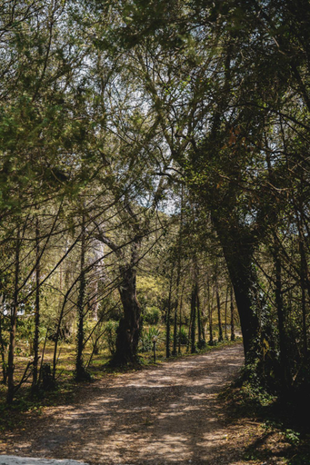 Surrounding environment 5, Dimoulitsa Villas Complex, Ionian Islands