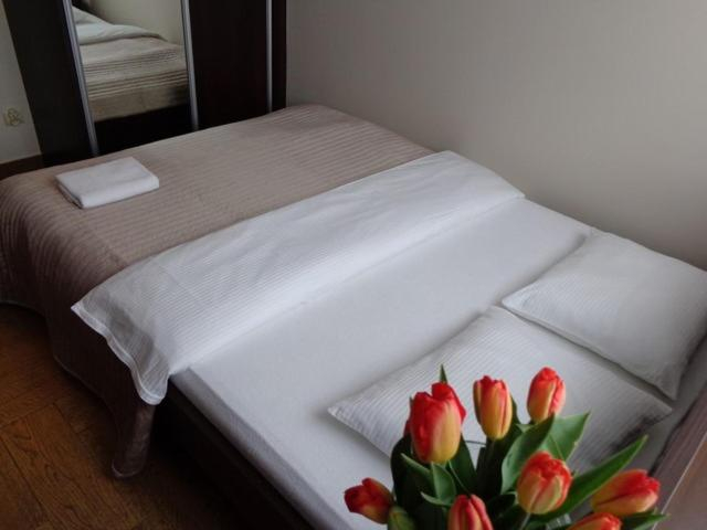 Others 4, Irys 1, Tychy City