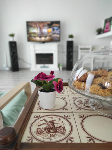 Others 5, Happy Home, Calimanesti