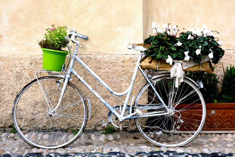 Room 4, Spazioso App To Mare E Sport, Imperia