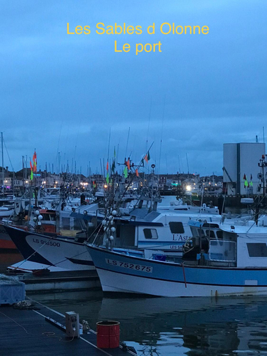 Others 3, L Atypique, Vendée