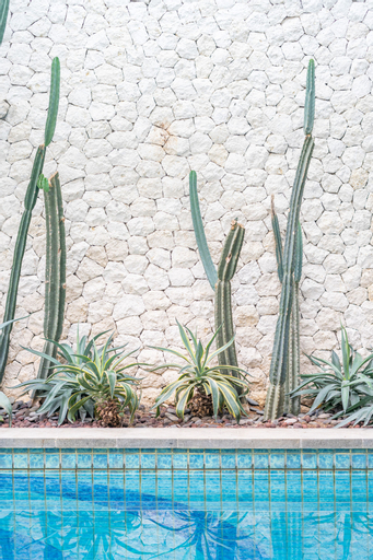 Swimming Pool 25