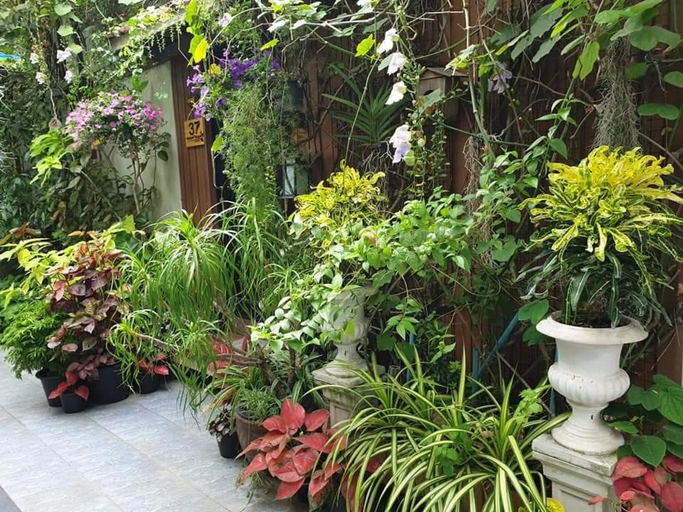 Others 4, 37 Nature House, Lak Si