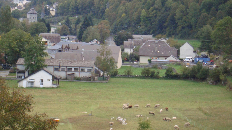 View 5, Les coquelicots, Hautes-Pyrénées