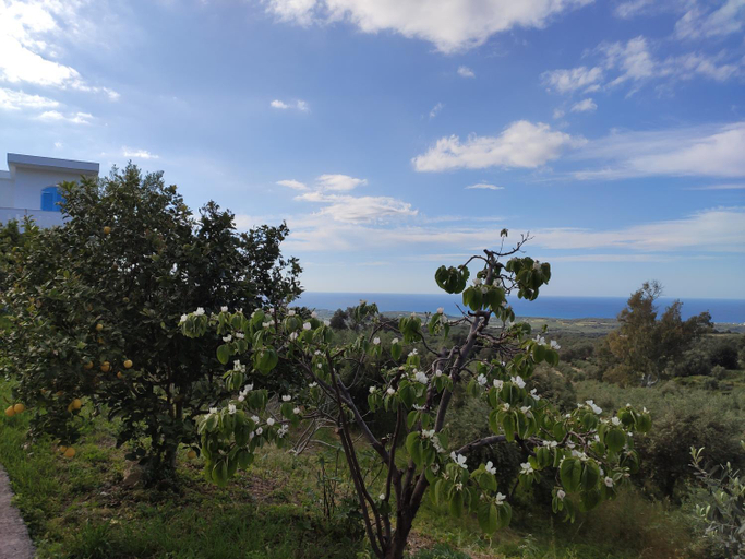 Others 5, VILLA KARA - Creta, Crete