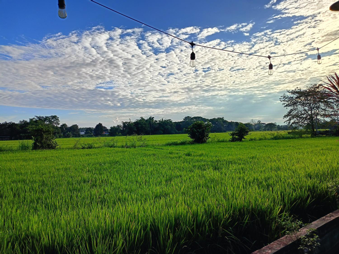 Scenery