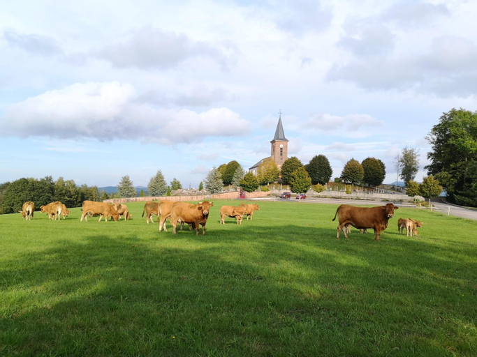 Others 5, LE CEDRE BLEU, Vosges