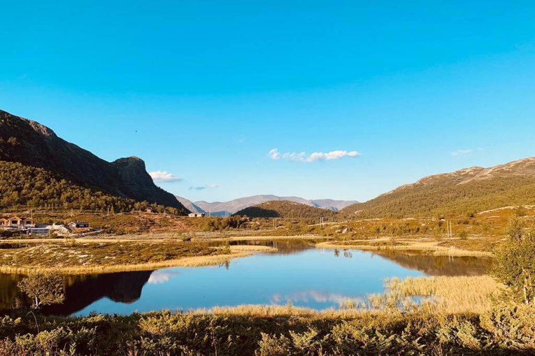 Others 2, Super sentral, flott og solrik leilighet i sentrum, Hemsedal