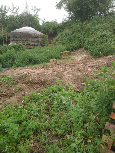 2, Yourte rustique en permaculture, Dordogne