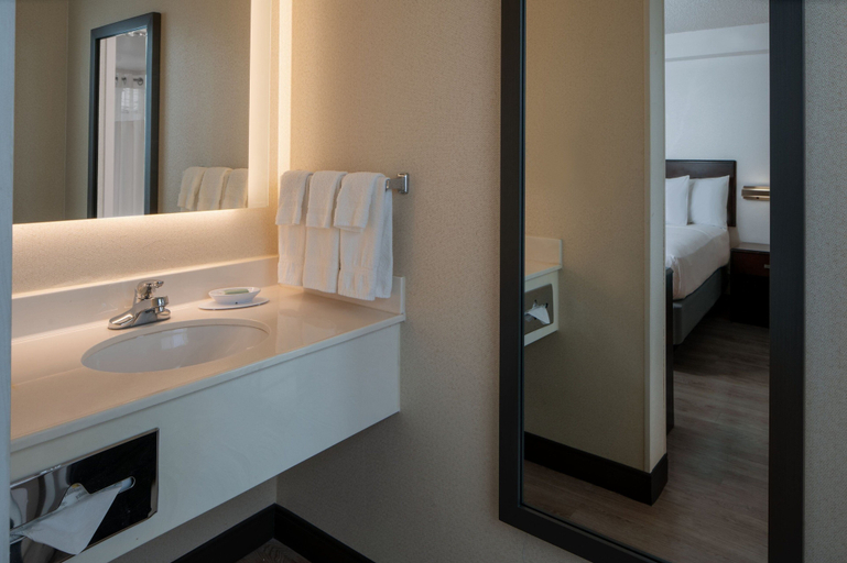 Bathroom 5, SpringHill Suites Marriott Ft Lauderdale Airport/Cruise Port, Broward