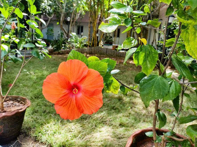 Others 4, The Well Beach side guest house, Viluppuram
