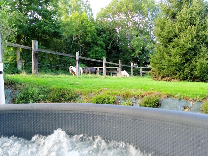 Sport & Beauty, Relais equestre du Miloir - chambres d'hotes, Calvados