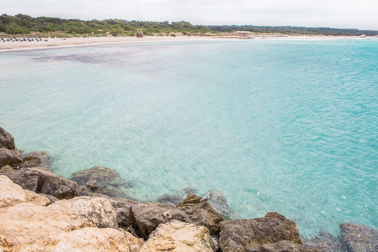 Others 3, Can Xesquet Pleta Morell, Baleares