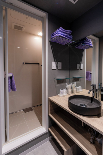 Bathroom 5, Niseko Grand Hotel, Rankoshi
