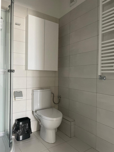 Bathroom 3, Lakeview 2 Room Penthouse Rooftop Terrace W15, Municipiul Bucuresti