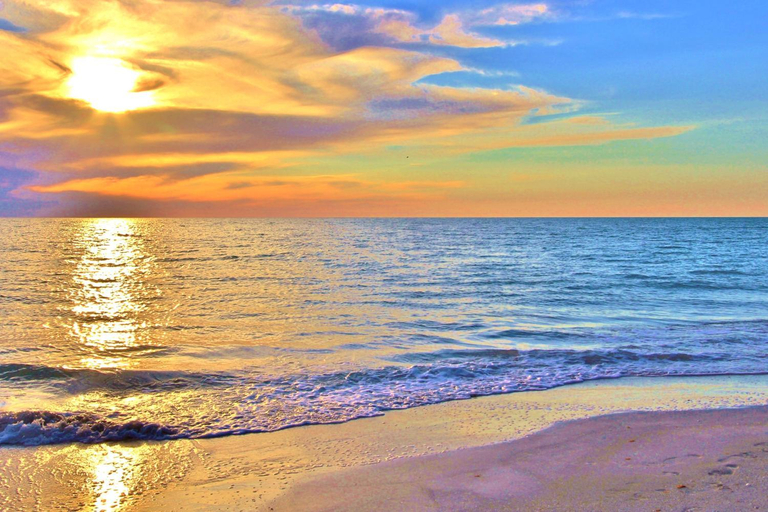Others 5, Beach Place 1-404, Pinellas