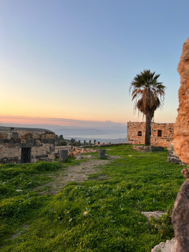 Others 5, Beit Philodemus, Tayybeh