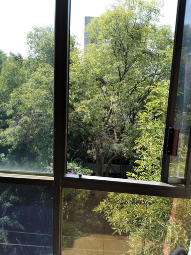 Others 3, Charming sunny bedroom overlooking beautiful Amsterdam Avenue in best Condesa area, Mexico City