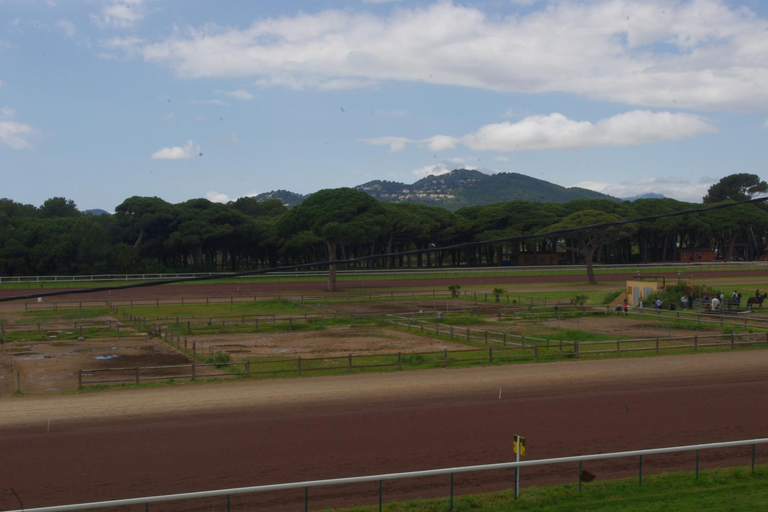 Others 5, Villa Nausicaa, Var