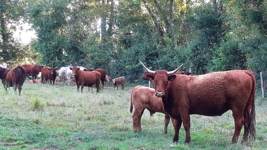 Others 3, La Menagerie, Sarthe