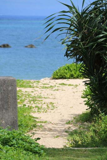 3, T&T MOF-Maeda Ocean Front House-, Onna