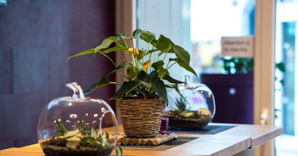 Food & Drinks 5, Hotel du Nord, Aigle