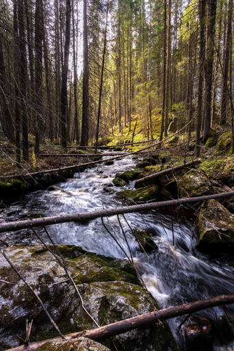 Others 5, Visit Hautakyla, Southern Ostrobothnia