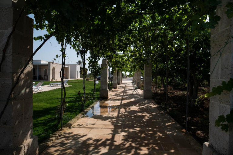 Others 3, IL NOCE Salento Tourism Services, Lecce