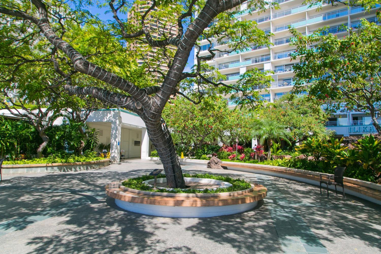 Sport & Beauty 2, Ilikai Tower 1934 Condo with Fully Equipped Kitchen - Great for longer stays!, Honolulu
