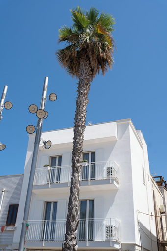 Exterior & Views, Leluan Bed & Breakfast, Bari