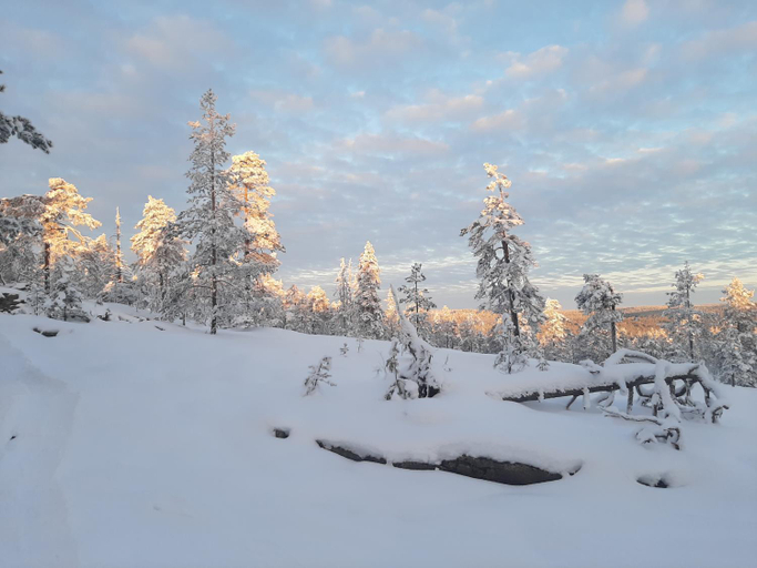 Others 3, Experience accommadation Eco-Unela, Lapland